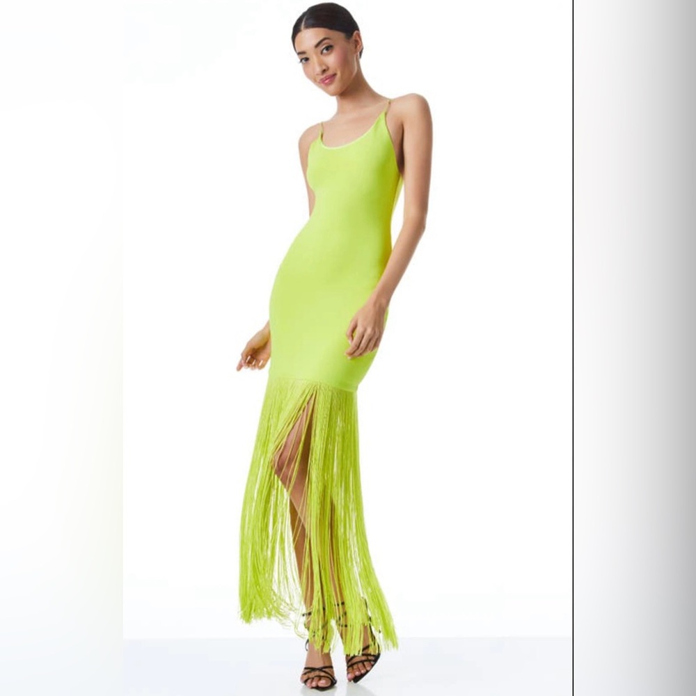 Alice + Olivia Steph Scoop-Neck Fringe Maxi Dress